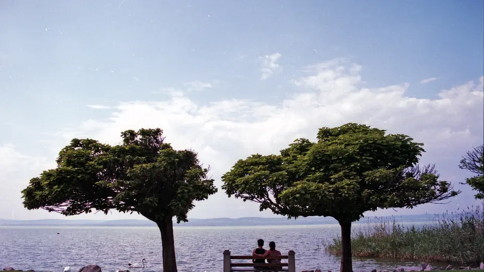 Un couple assis sur un banc face au lac, sous deux arbres