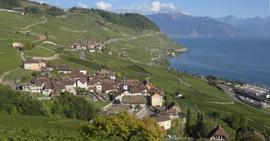 Plan cul Vaud